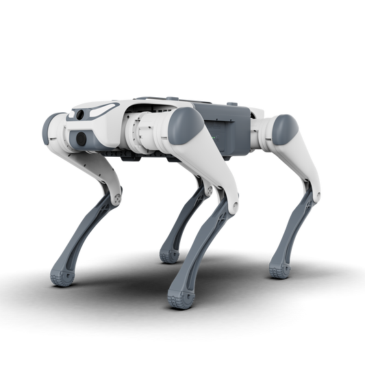 DEEP Robotics Lite 3 Basic quadruped robot designed for education, robotics learning, and motion control training